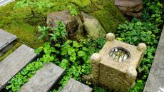 A moss garden with stone steps, rocks, and a small stone water feeder