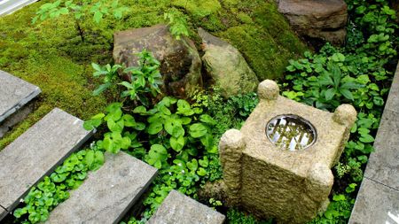 A moss garden with stone steps, rocks, and a small stone water feeder