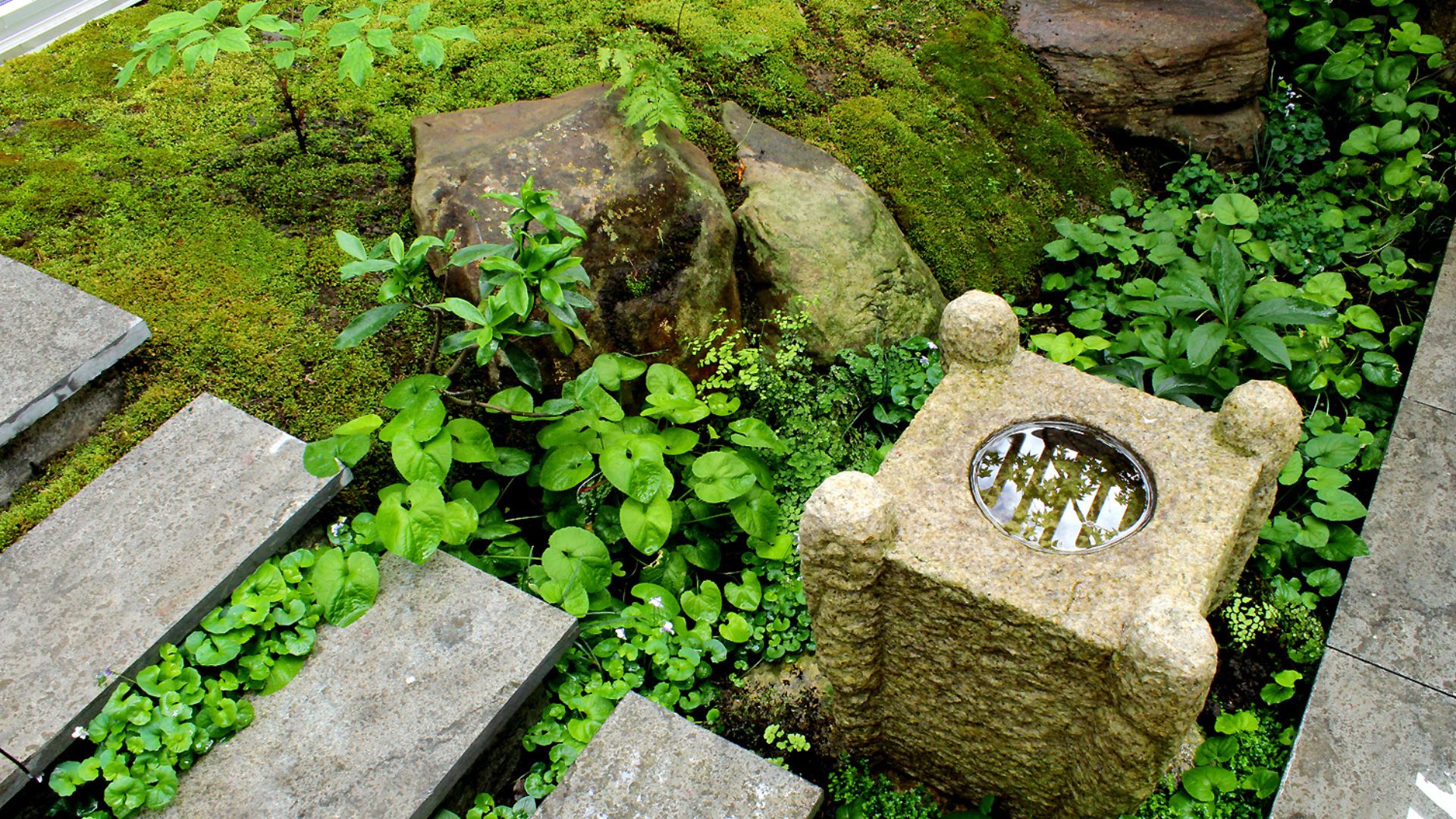 A moss garden with stone steps, rocks, and a small stone water feeder
