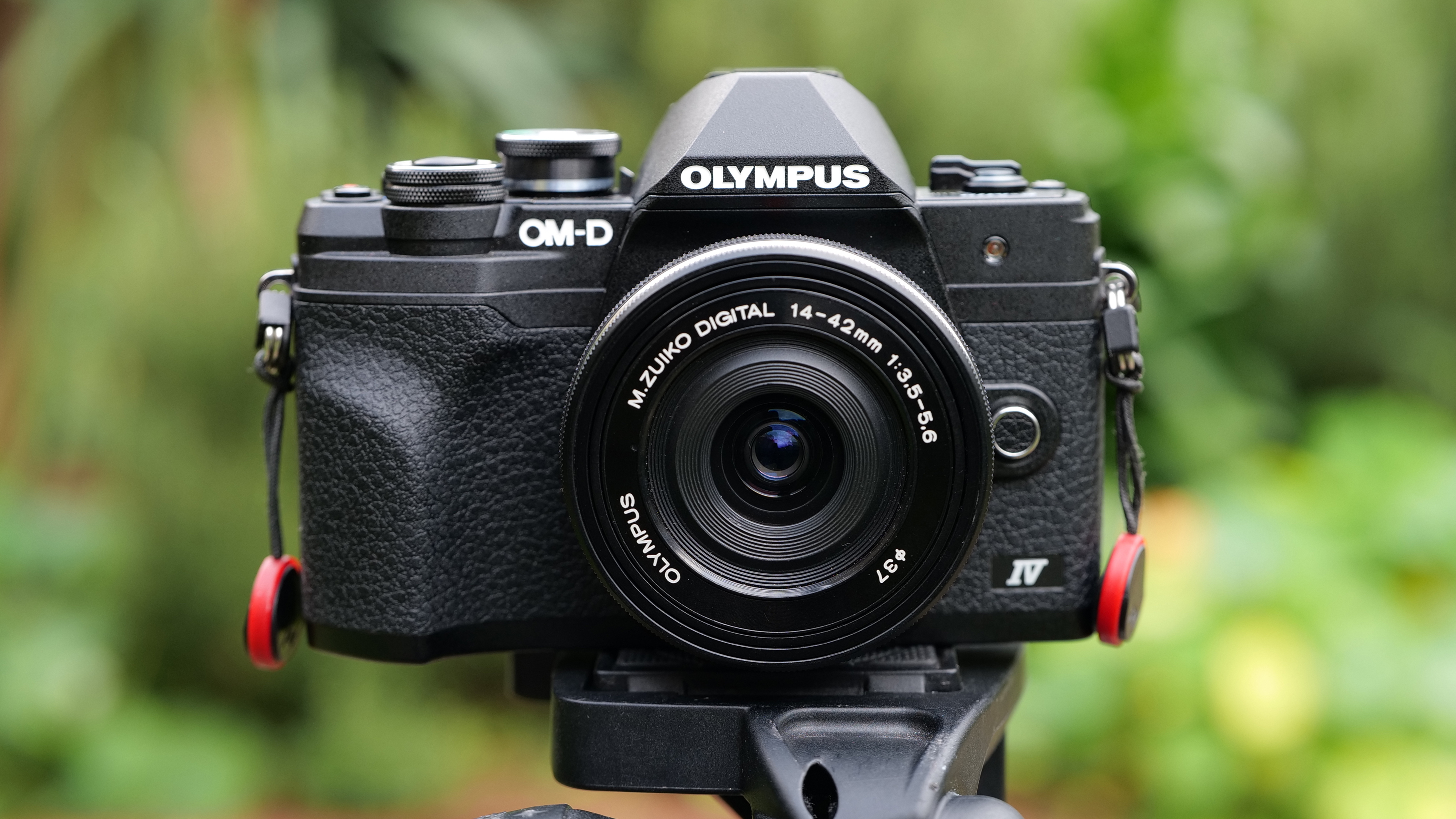 The Olympus OM-D E-M10 Mark IV mounted on a tripod in a garden.