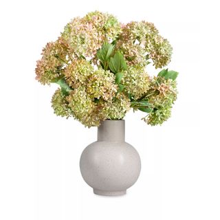 CocoBella Donte Snowball Hydrangea Arrangement