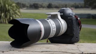 The Canon EOS 1DX Mark III DSLR sitting on a log