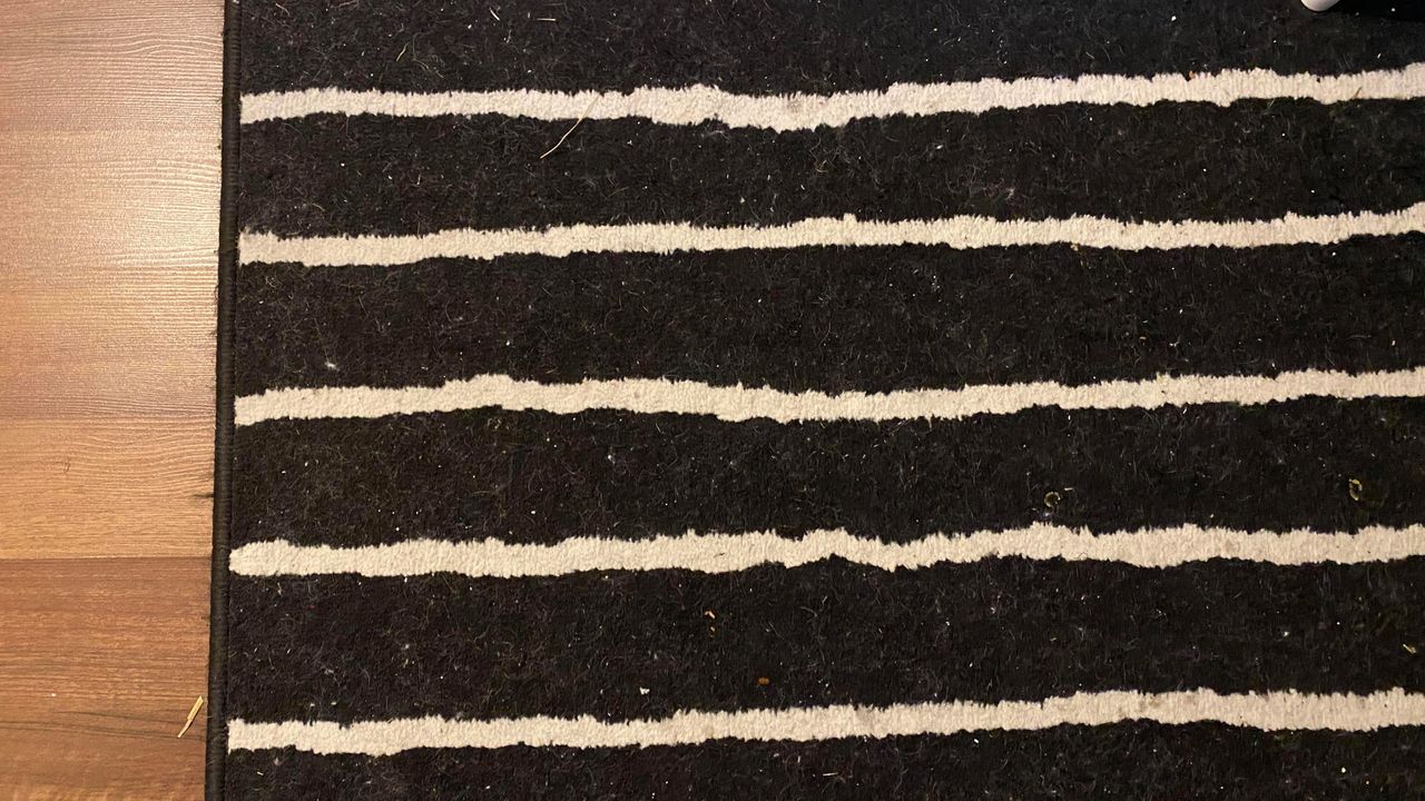Annie's striped rug, testing the BISSELL multi-surface cleaner
