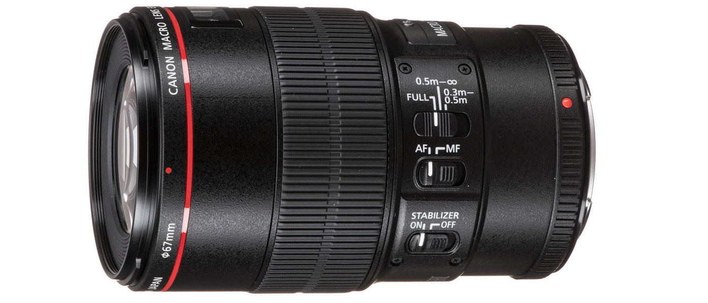 Canon EF 100mm f/2.8L Macro IS USM review | Digital Camera World
