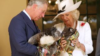 Camilla, Duchess of Cornwall and Prince Charles, Prince of Wales hold koalas at Government House on November 7, 2012 in Adelaide, Australia. The Royal couple are in Australia on the second leg of a Diamond Jubilee Tour taking in Papua New Guinea, Australia and New Zealand.
