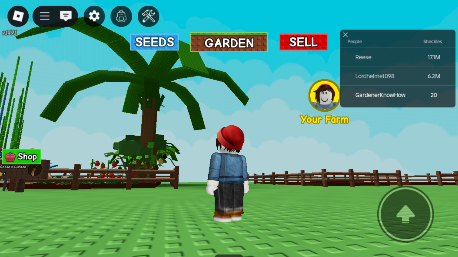 Player in Roblox Grow a Garden game