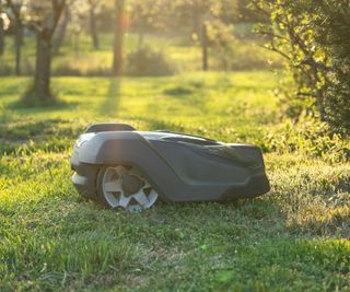 Robot mower at sunset