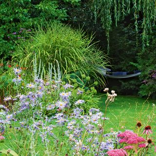 cottage garden with greenery grass and flower plants