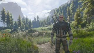 Witcher 3 Wolven armor