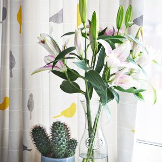 room with cactus and lily flowers in vase