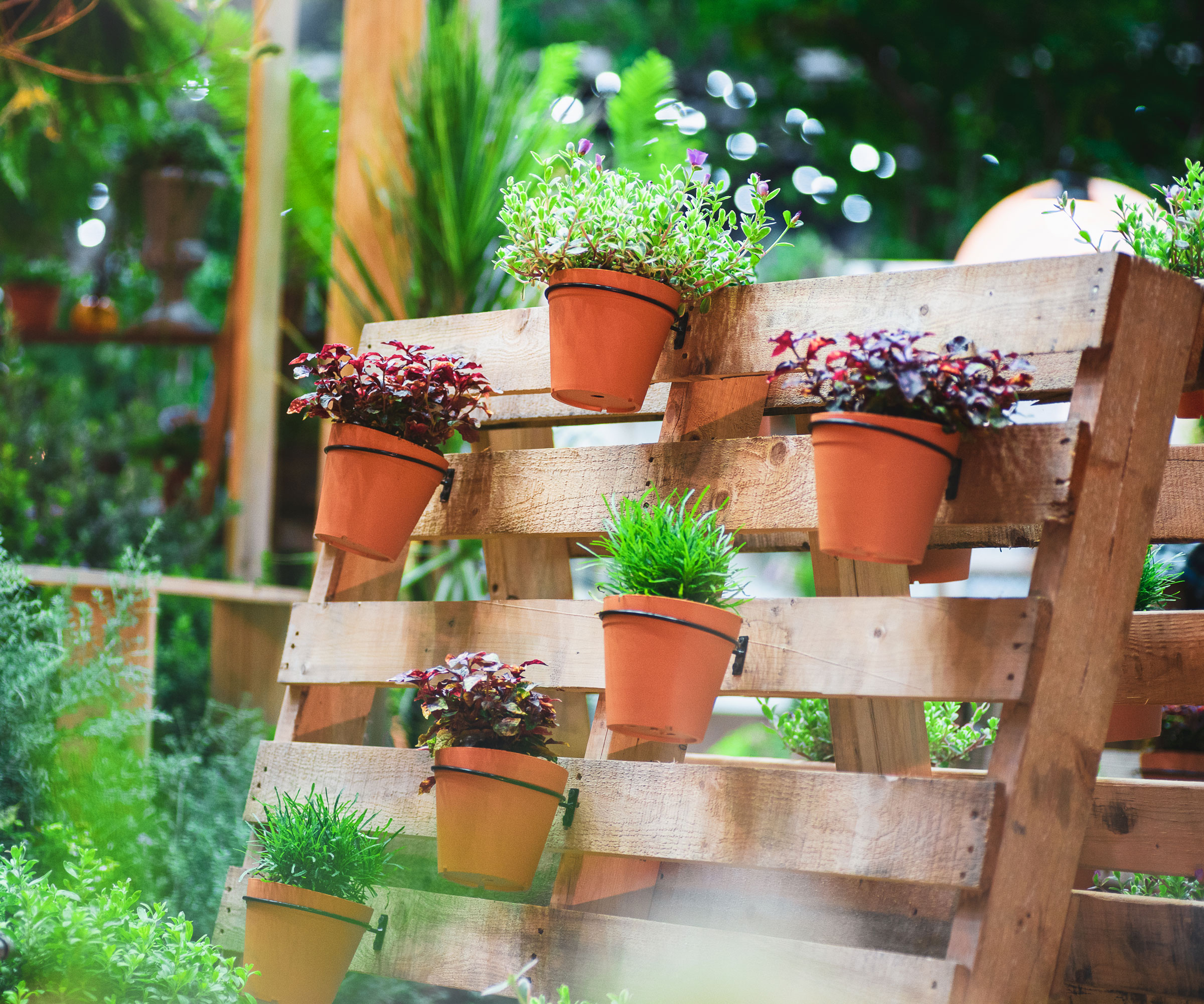 pot plants arranged on vertical planter