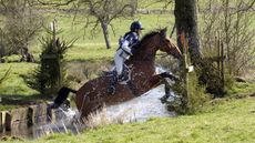 The Cleveland Bay / thoroughbred cross is typically a good sports horse