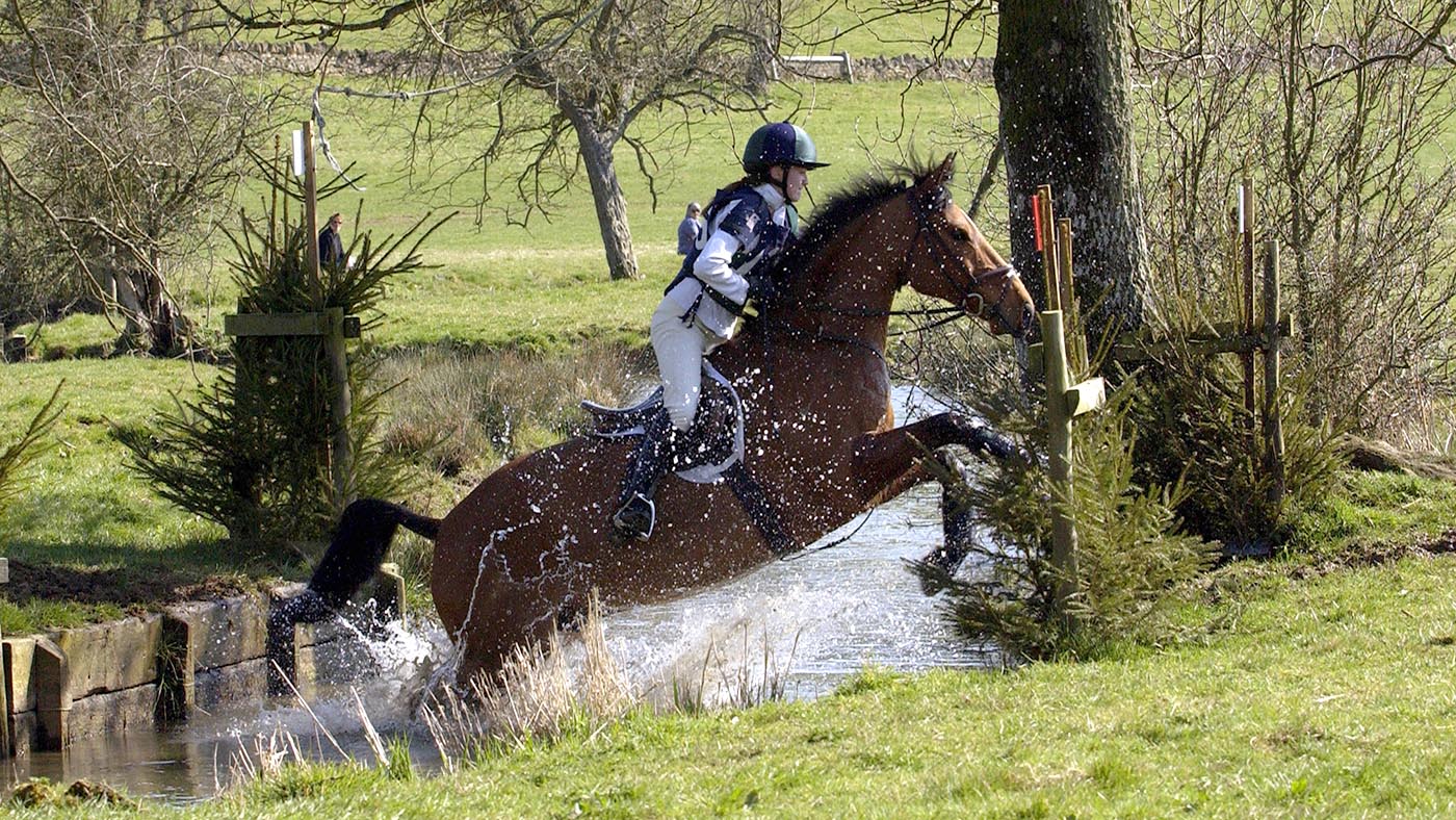The Cleveland Bay / thoroughbred cross is typically a good sports horse