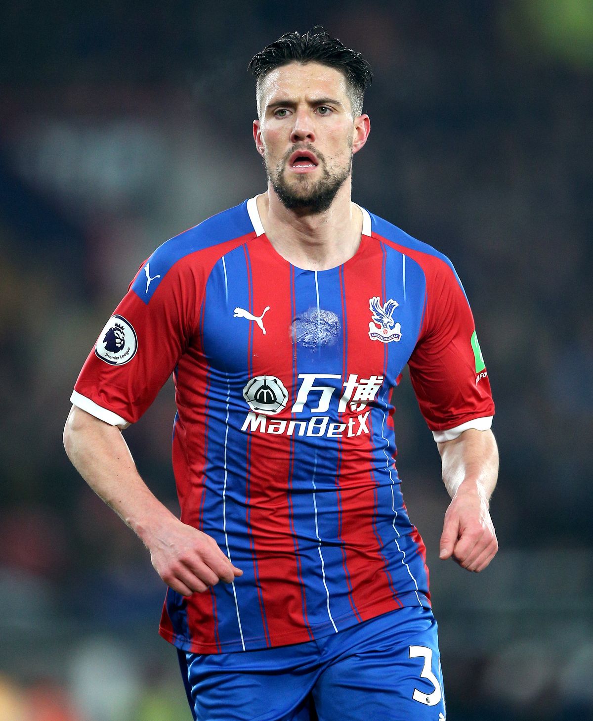 Crystal Palace v Southampton – Premier League – Selhurst Park