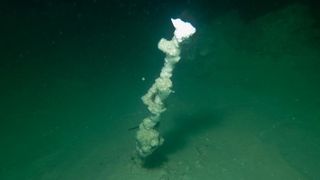 Gleaming "white smoker" salt chimney rises up from the floor of the Dead Sea.