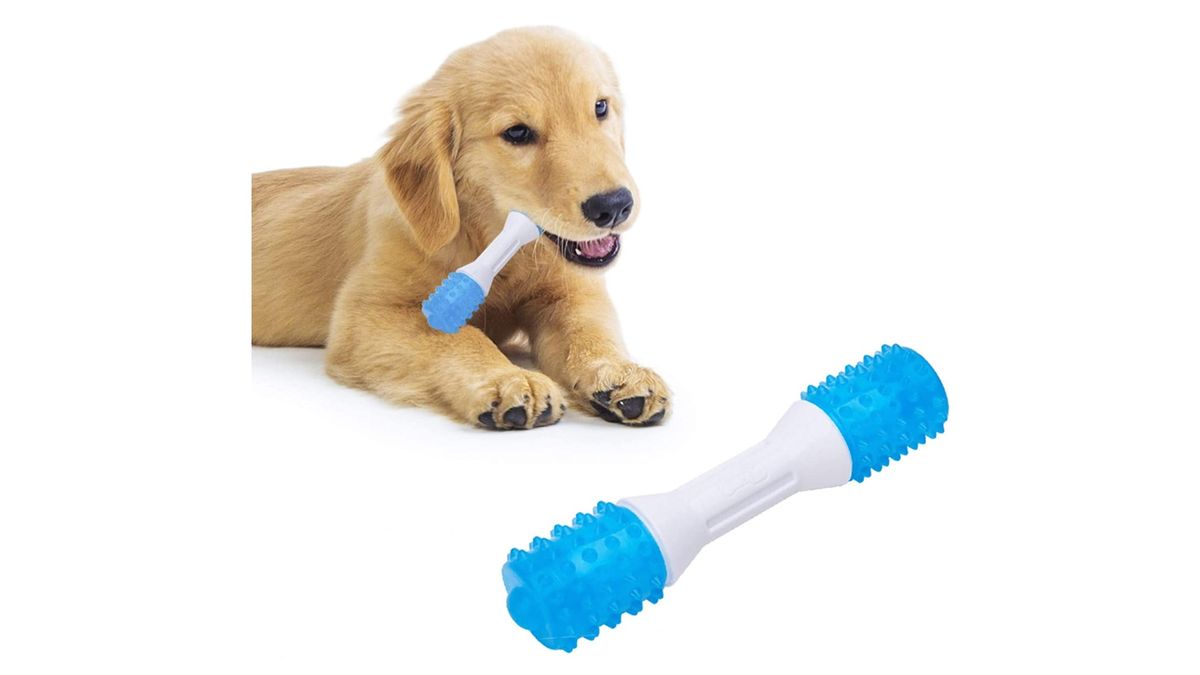 Best teething toys for puppies 2024 Take a bite out of teething pains