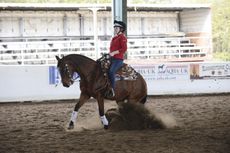 Reining_NewYearChal14pn_50406.jpg
