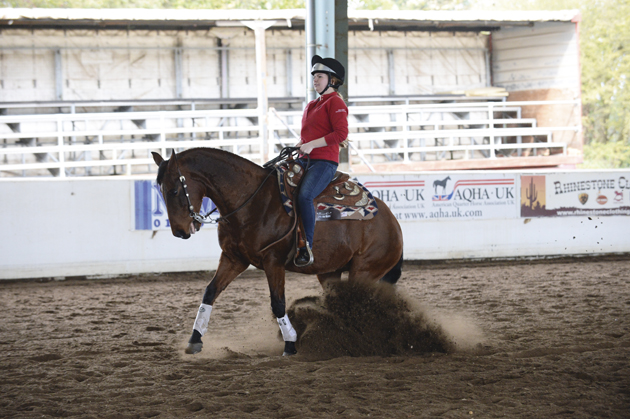 Reining_NewYearChal14pn_50406.jpg