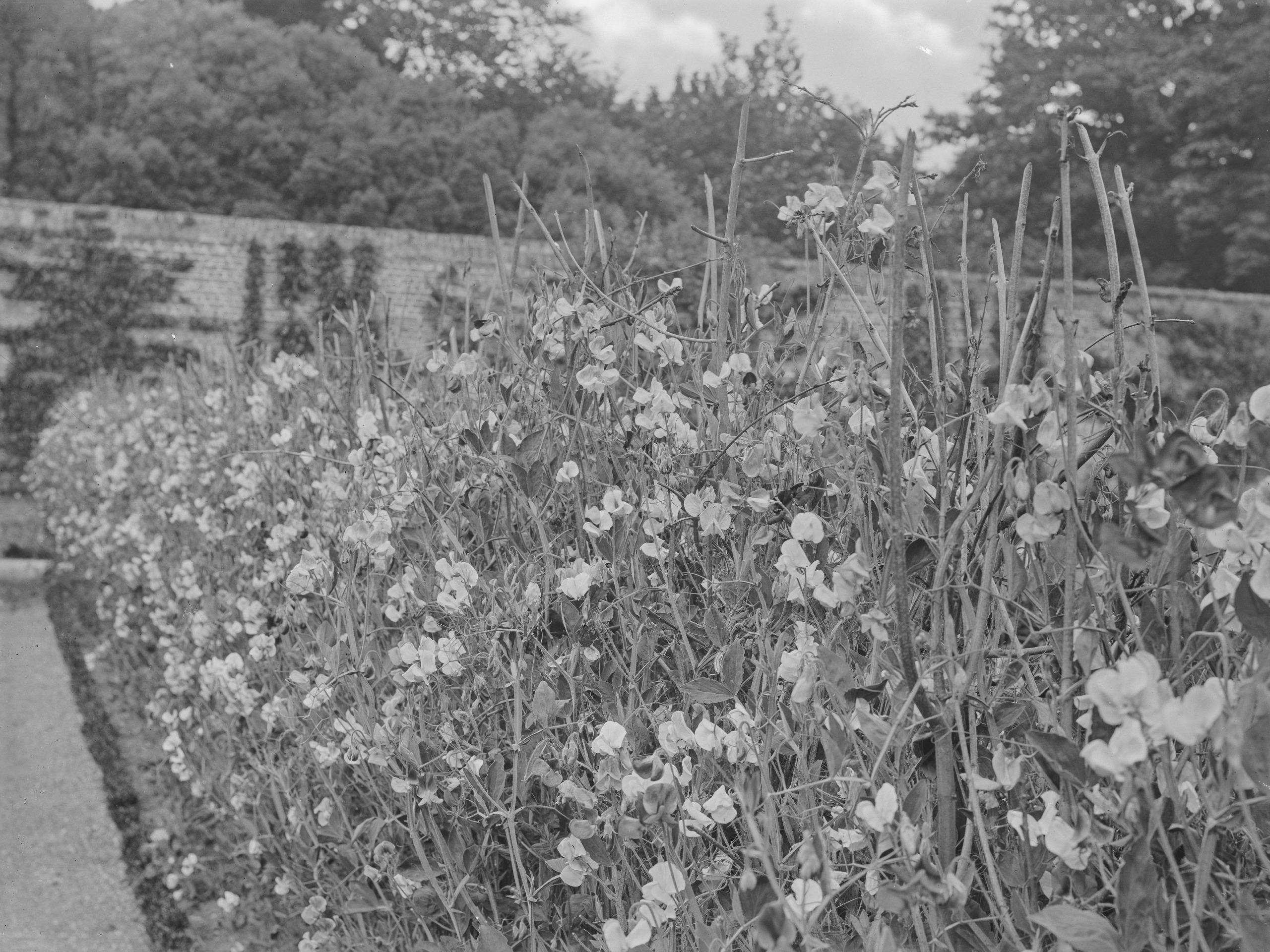 Black-and-white photographs of a neo-Palladian manor house