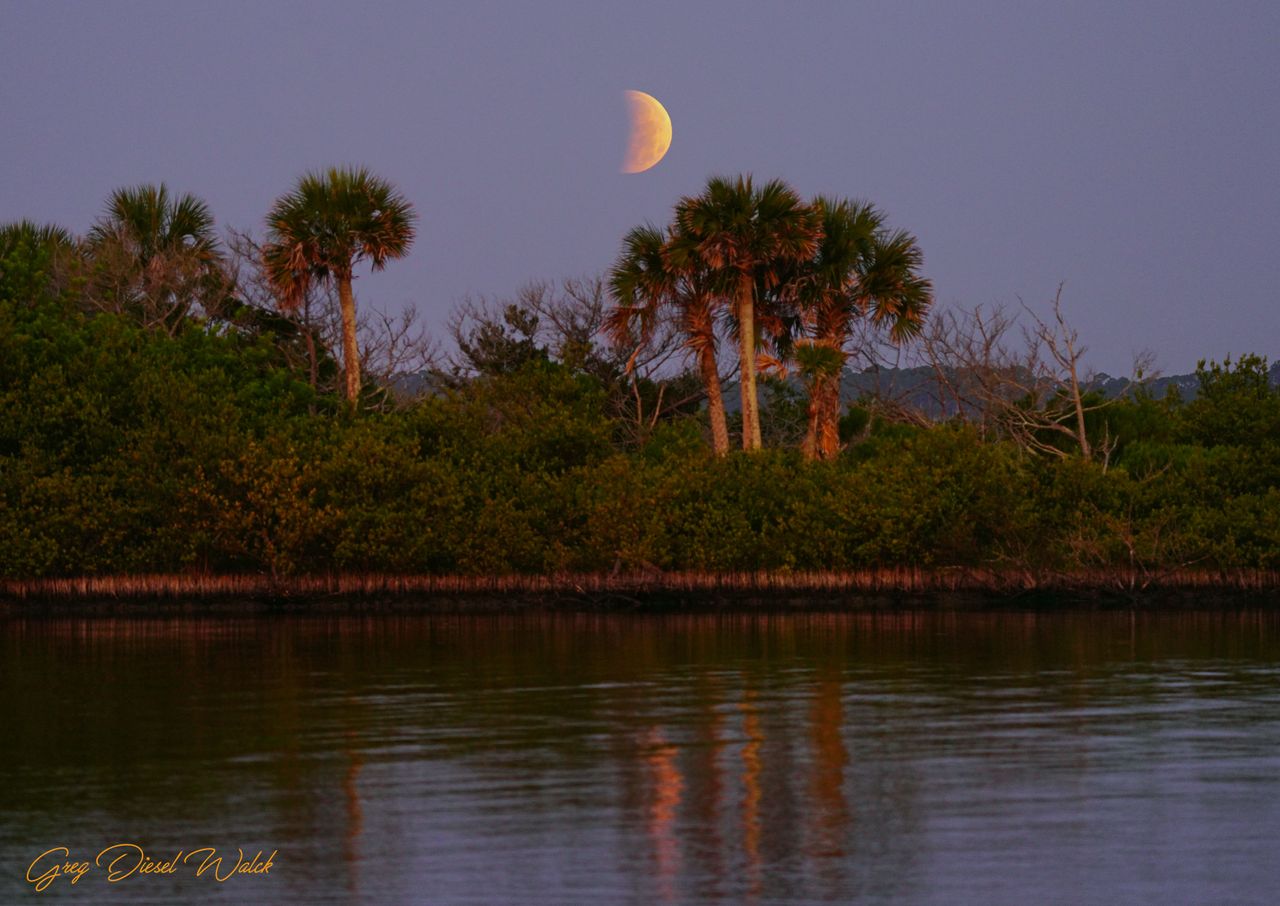The partial lunar eclipse as seen from Ormond Beach, Florida, by Greg Diesel Walck.