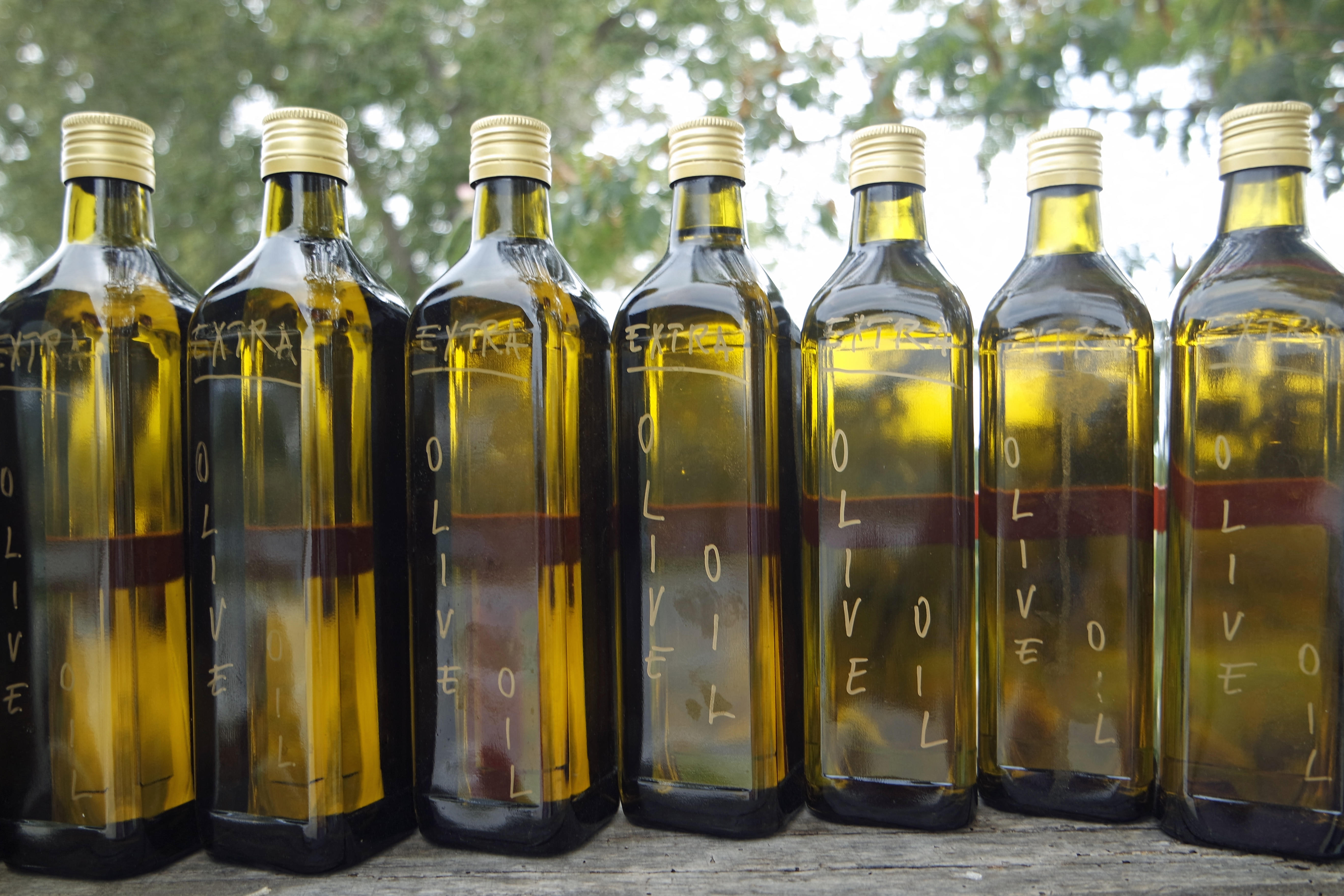 Bottles of olive oil in a row