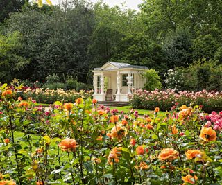 The expansive rose gardens at the palace gardens