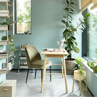 Modern home office ideas with pale green walls and plants