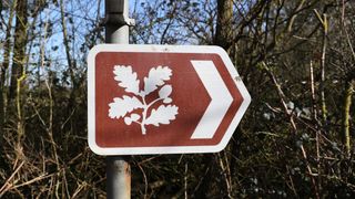 The National Trust logo shown on a brown footpath sign attached to a lamppost in England. The logo is the silhouette of an oak branch.