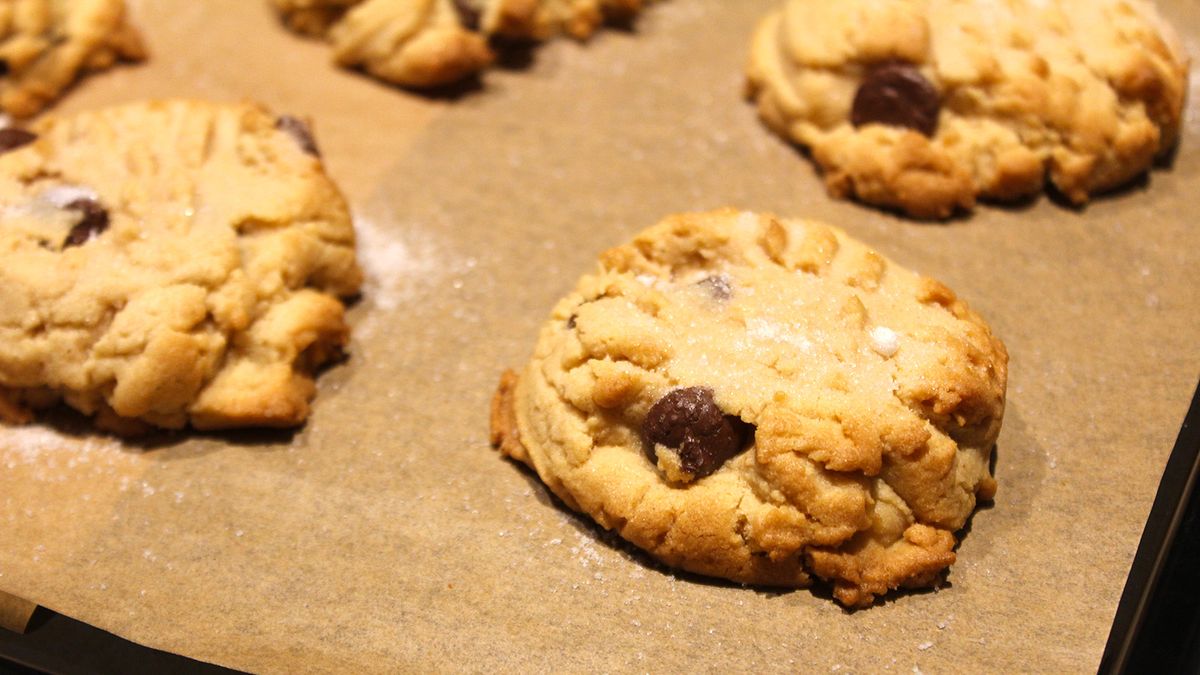 Fresh cookies baking in the Ninja Prestige Smart XL Air Fryer &amp; Countertop Oven