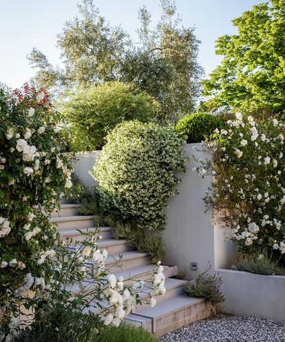 This Tuscan garden is a vision of beauty –Homes & Gardens | Homes & Gardens