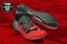 Specialized s-works shoes