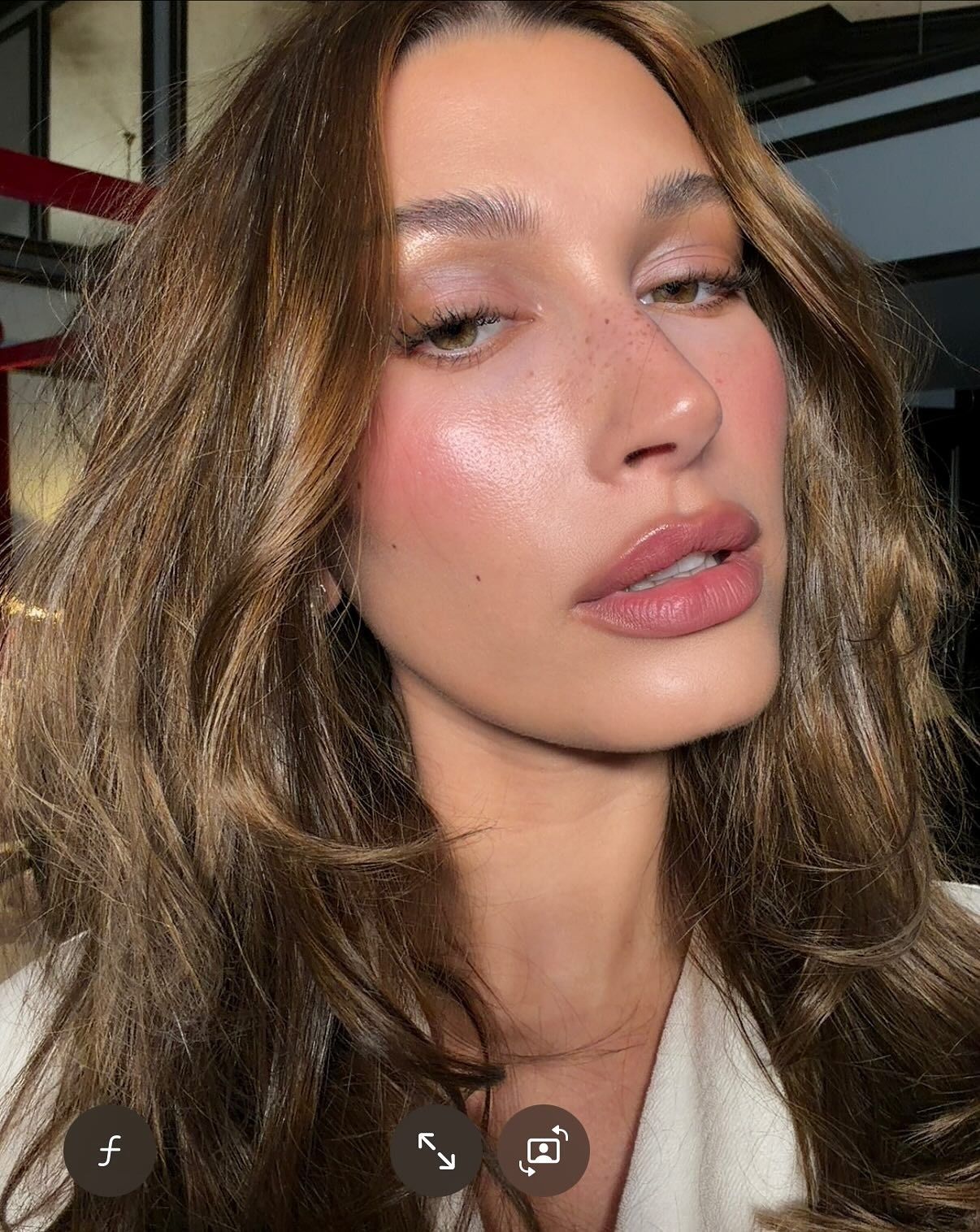 Hailey Bieber with gilded brown hair.