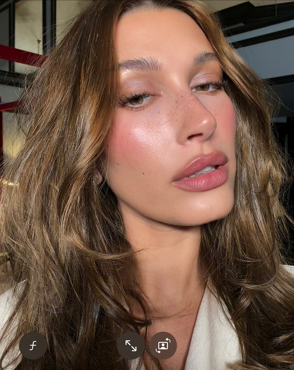 Hailey Bieber with gilded brown hair.