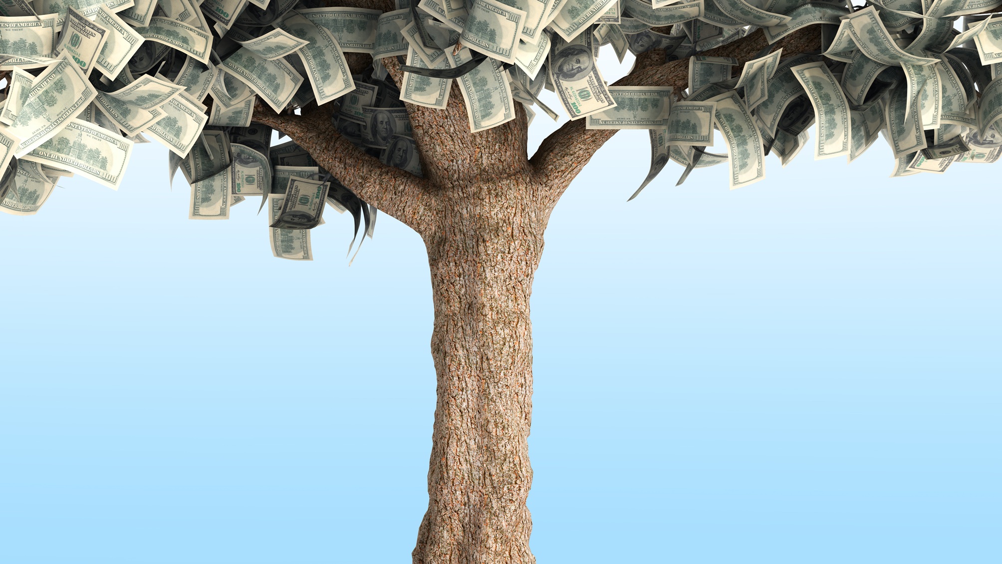 Money appearing to grow on a tree.
