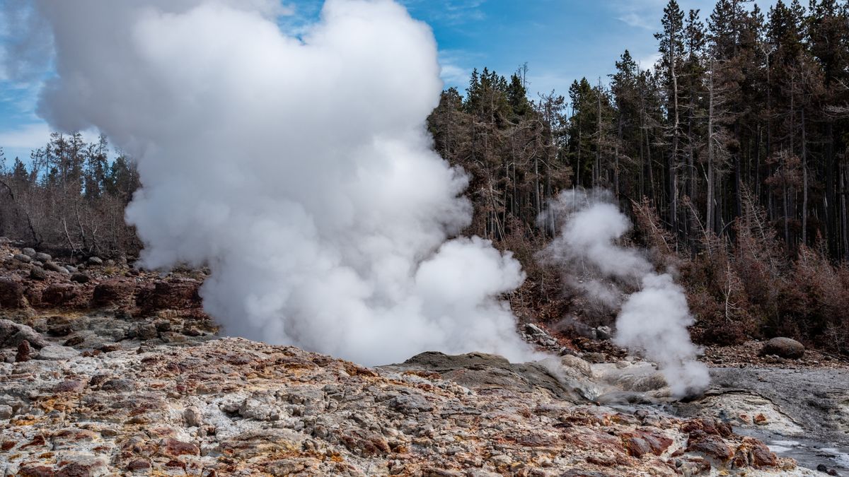 Steamboat Geyser in Yellowstone National Park, USA