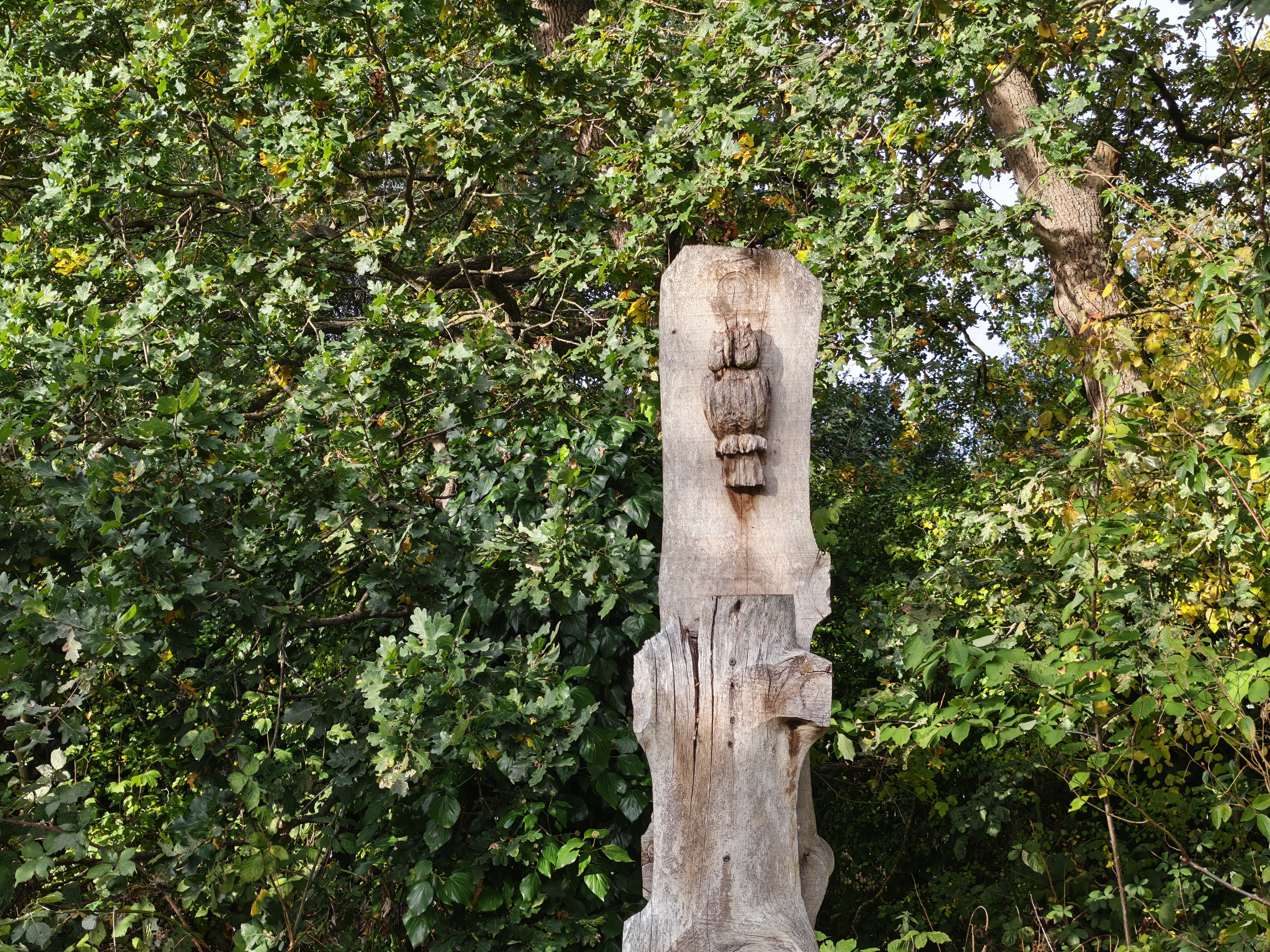 A carved owl on a totem