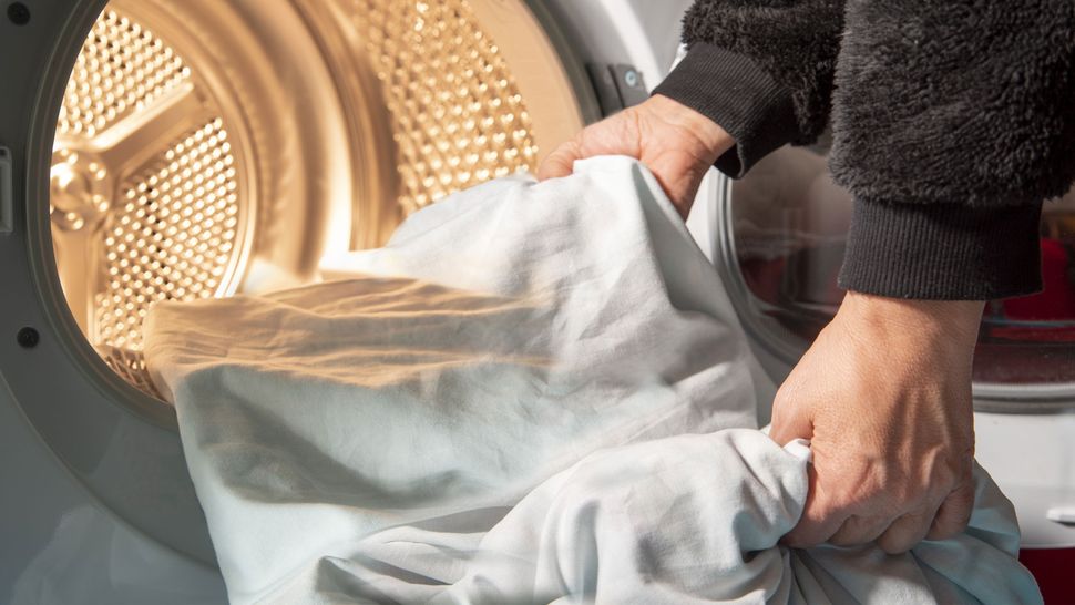 Best Dryers 2022 Top Ten Reviews