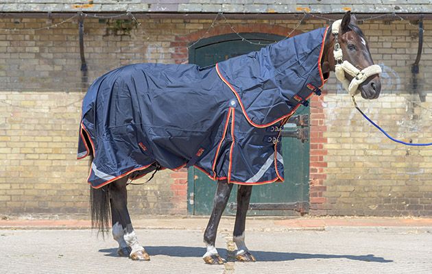 Premier Equine Buster Zero Turnout Rug review