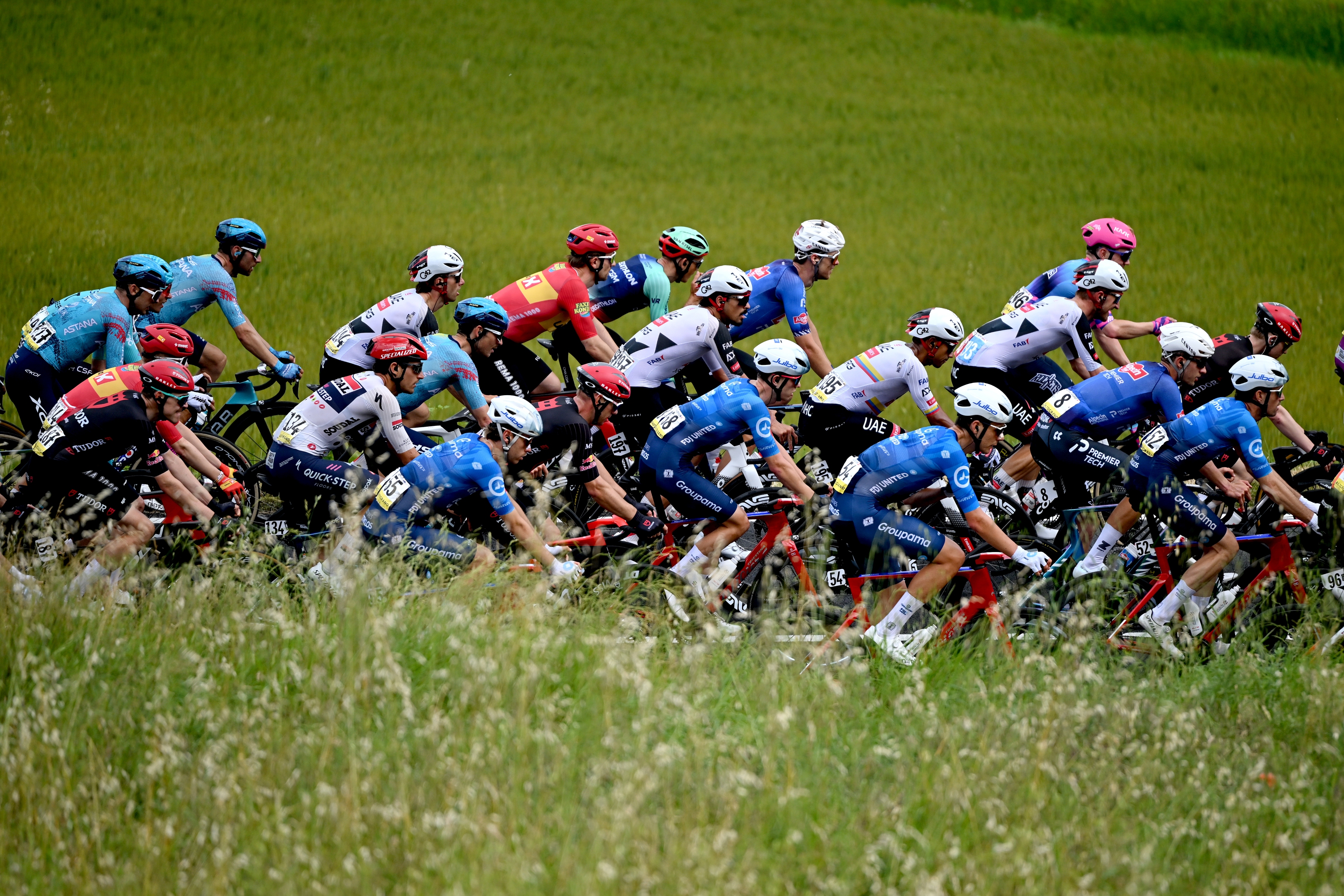 The peloton at the Giro d'Italia 2026