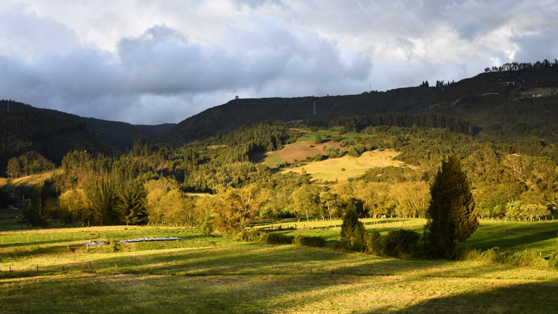 a panoramic photo of a beautiful area with grassy rolling hills