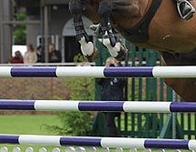 Hickstead-jump1.jpg