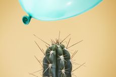 A teal balloon hovering dangerously close to the spines of a cactus