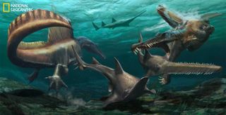 Two Spinosaurus hunt Onchopristis, a prehistoric sawfish, in the waters of the Kem Kem river system in what is now Morocco.