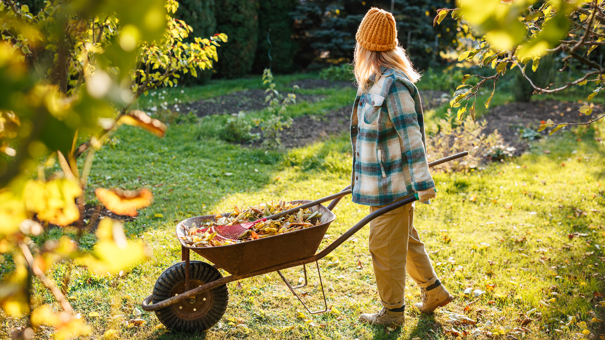 woman pushing wheelbarrow in fall garde