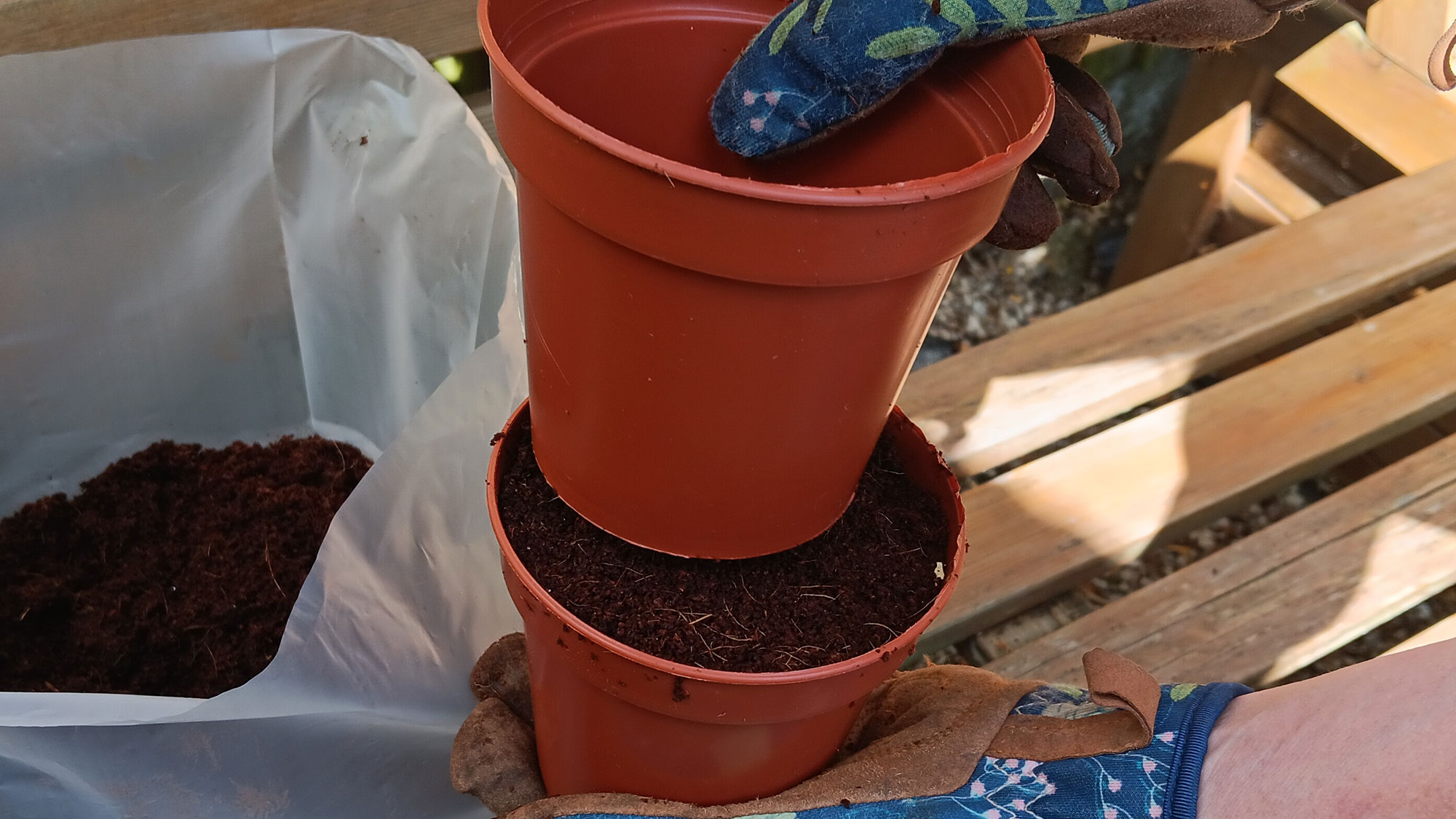 Press coconut soil in the pot