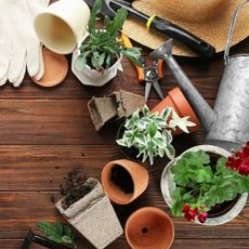 Gardening essentials and potted plants on a wooden table