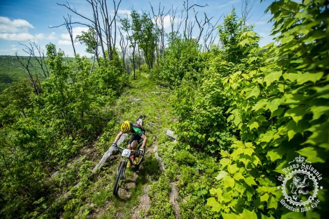 Michael Broderick pedals through the grown in to p of the Tussey Ridge Trail