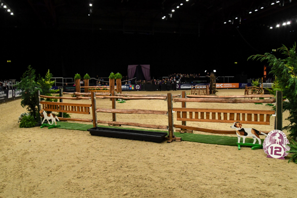 Fence 12: Post & Rail Oxer