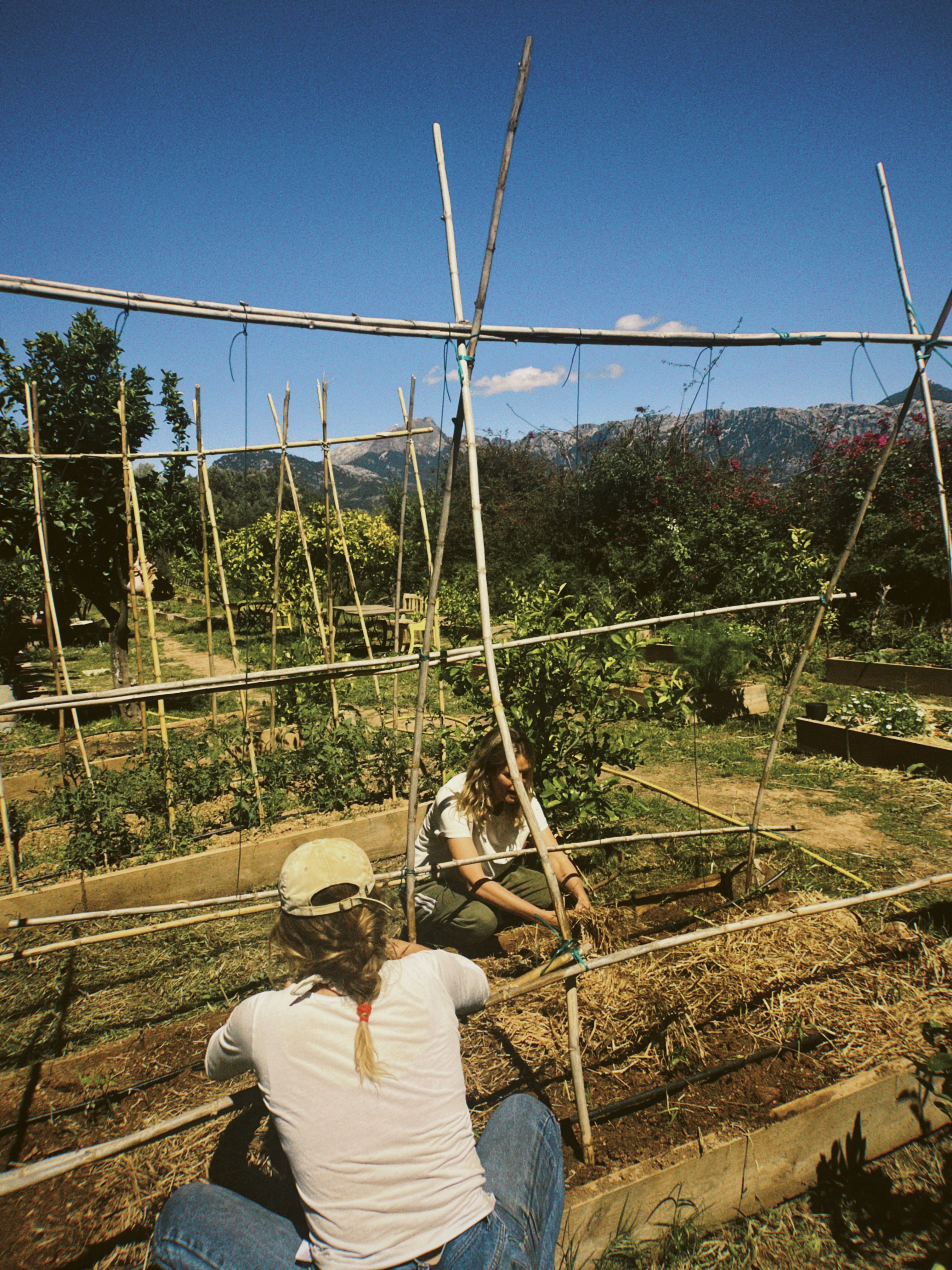 do luxury hotels need a farmer in residence