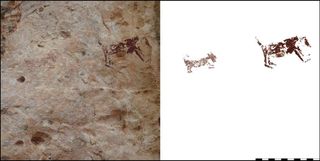 Some of the rock paintings on Kisar show dogs, which were introduced to the region about 3,500 years ago.